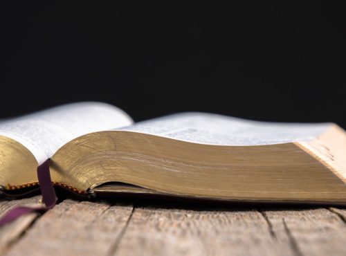 Adventistas Bonifácio