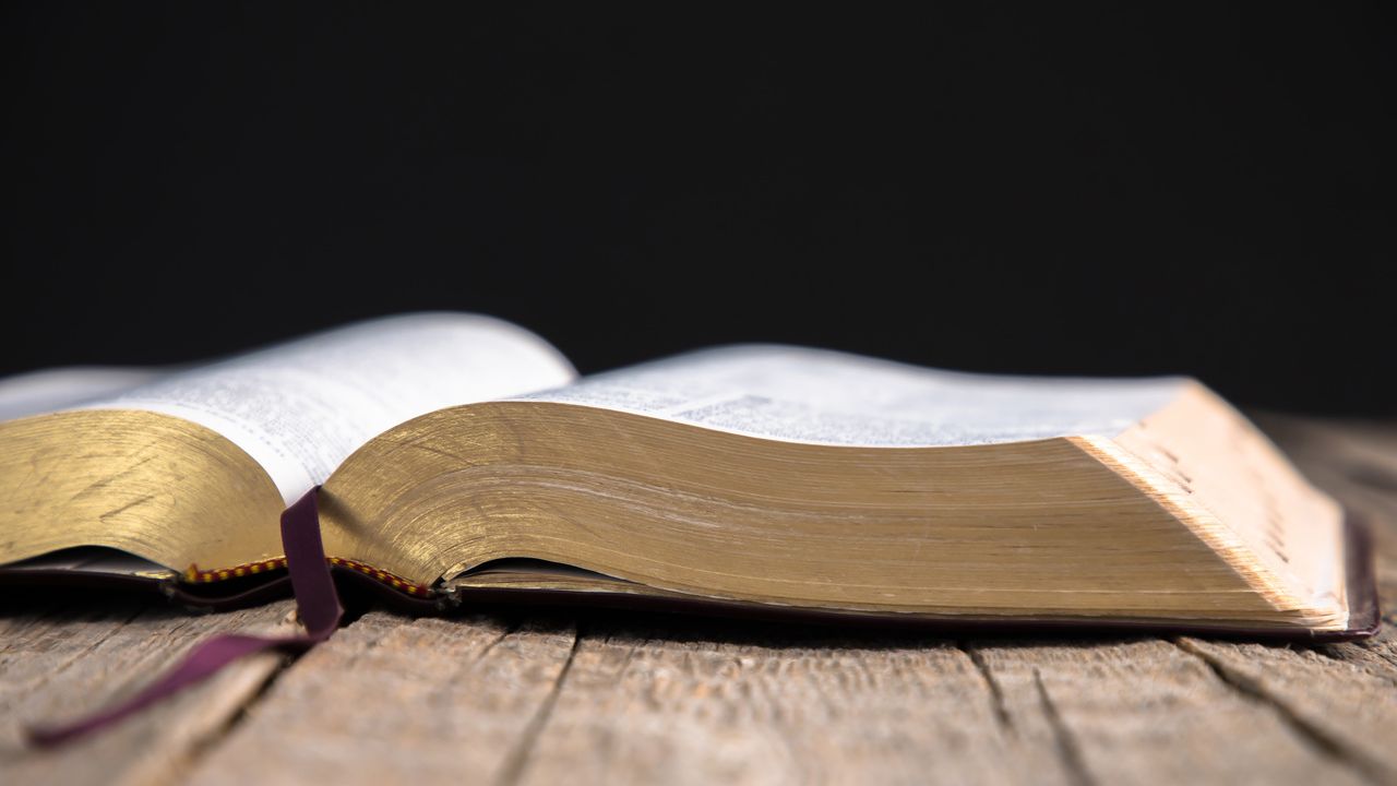 Adventistas Bonifácio